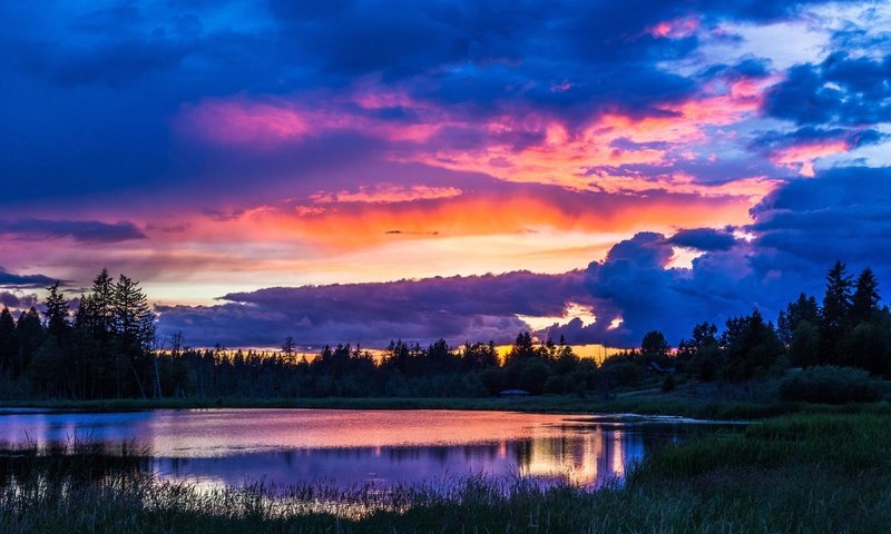 Обои деревья, вечер, озеро, природа, закат, пейзаж, небо облака, trees, the evening, lake, nature, sunset, landscape, sky clouds разрешение 3840x2160 Загрузить