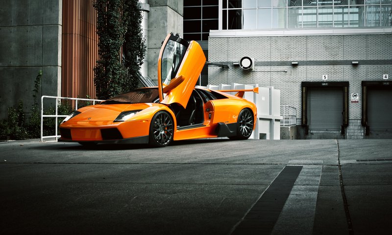 Обои апельсин, ламборгини, murcielago, ламборджини, передний, orange, lamborghini, front разрешение 2048x1365 Загрузить