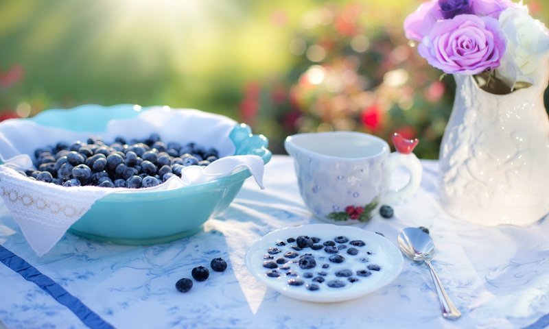 Обои ягоды, черника, посуда, молоко, berries, blueberries, dishes, milk разрешение 5248x3499 Загрузить