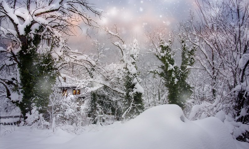 Обои деревья, болгария, снег, природа, зима, пейзаж, дом, сугробы, снегопад, trees, bulgaria, snow, nature, winter, landscape, house, the snow, snowfall разрешение 2000x1325 Загрузить