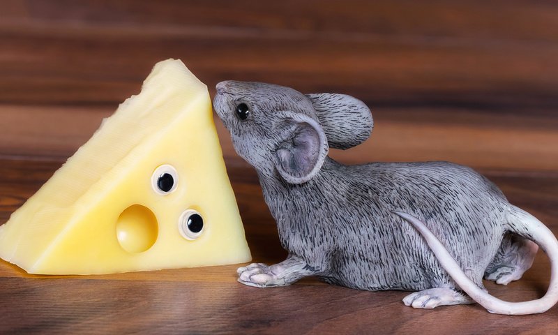 Обои статуэтка, сыр, мышь, figurine, cheese, mouse разрешение 2112x1188 Загрузить