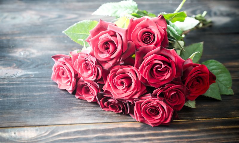 Обои цветы, розы, букет, flowers, roses, bouquet разрешение 5000x3325 Загрузить