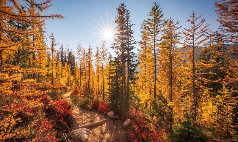 Обои горы, утро, осень, mountains, morning, autumn разрешение 2000x1300 Загрузить