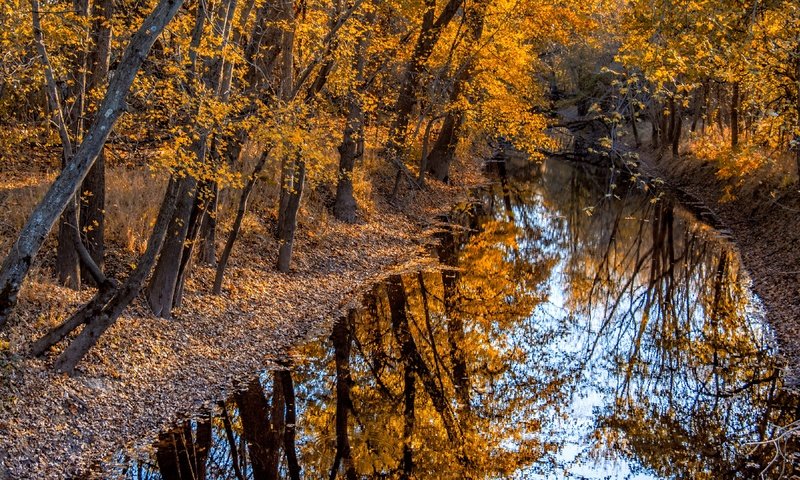 Обои деревья, река, природа, отражение, осень, trees, river, nature, reflection, autumn разрешение 3840x2160 Загрузить