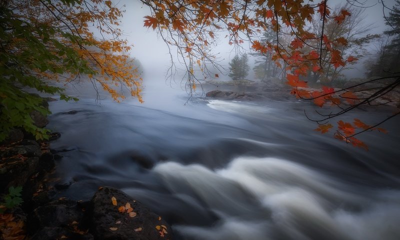 Обои река, туман, осень, канада, онтарио, river, fog, autumn, canada, ontario разрешение 2048x1365 Загрузить