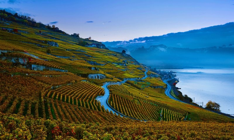 Обои склон, швейцария, виноградник, женевское озеро, slope, switzerland, vineyard, lake geneva разрешение 4974x2798 Загрузить