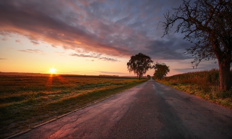 Обои дорога, закат, поле, road, sunset, field разрешение 2048x1300 Загрузить