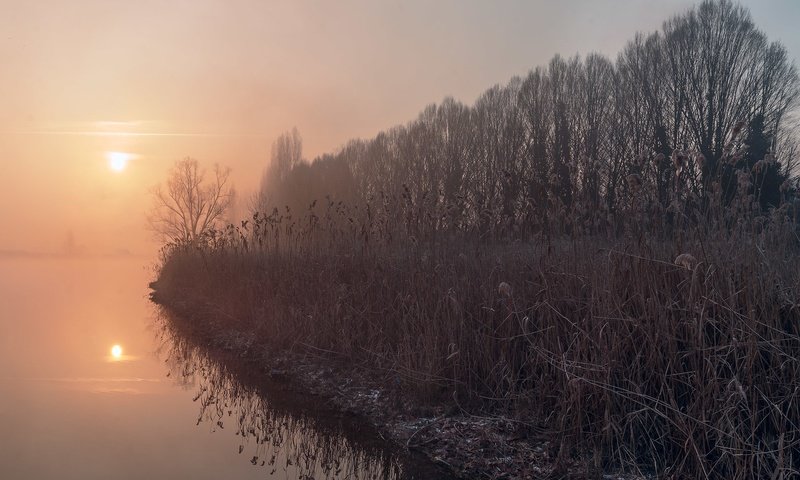 Обои озеро, туман, осень, камыш, lake, fog, autumn, reed разрешение 2048x1365 Загрузить