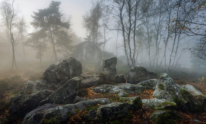 Обои природа, туман, nature, fog разрешение 3840x2160 Загрузить
