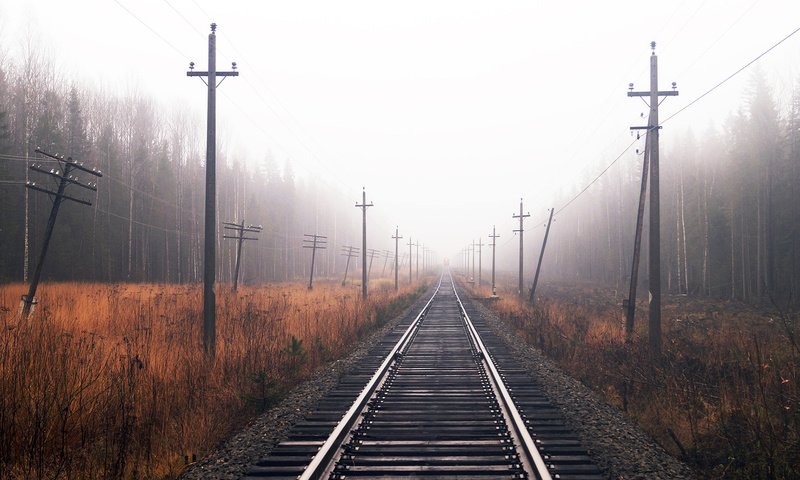 Обои железная дорога, лес, осень, railroad, forest, autumn разрешение 1920x1080 Загрузить