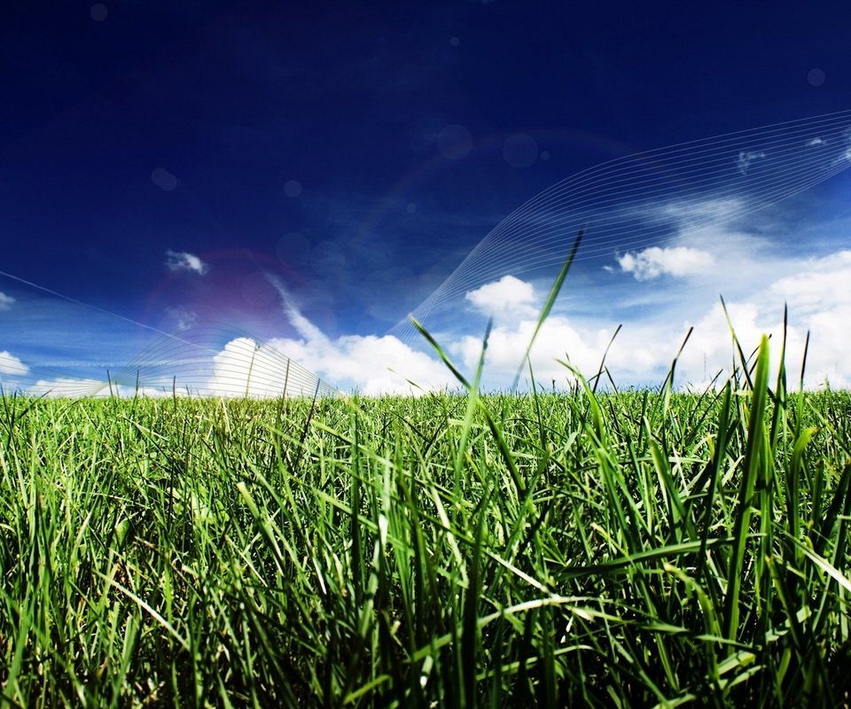 Обои трава, облака, линии, grass, clouds, line разрешение 1920x1200 Загрузить