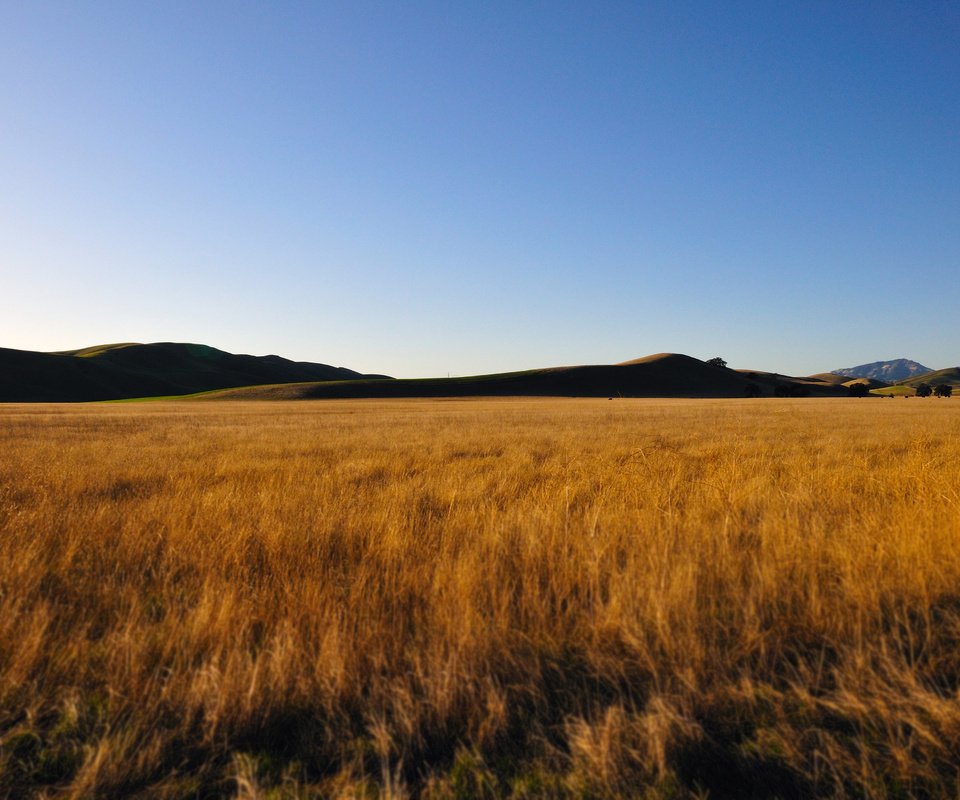 Обои небо, горы, поле, пшеница, the sky, mountains, field, wheat разрешение 4288x2848 Загрузить