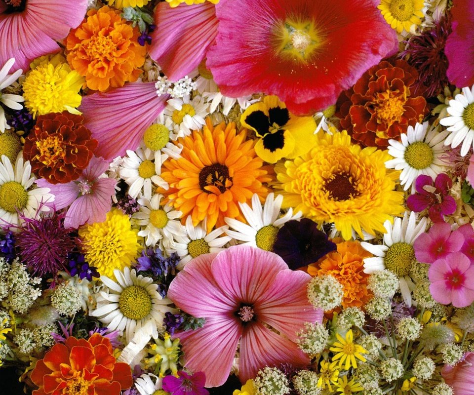 Обои цветы, ромашки, букет, хризантемы, flowers, chamomile, bouquet, chrysanthemum разрешение 2560x1600 Загрузить