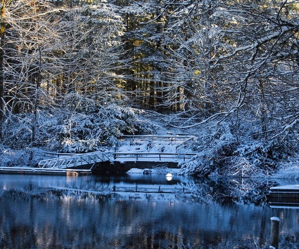 Обои деревья, вода, озеро, снег, зима, мост, trees, water, lake, snow, winter, bridge разрешение 1920x1080 Загрузить