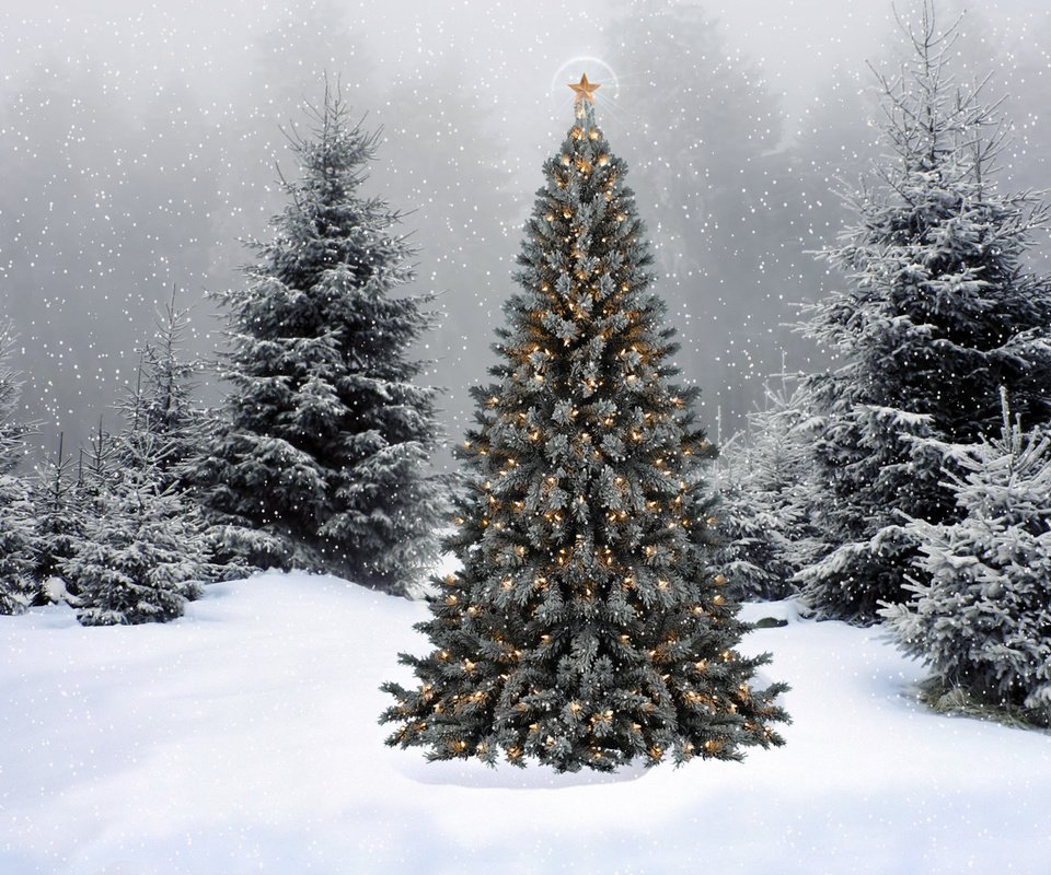 Обои снег, новый год, елка, ель, snow, new year, tree, spruce разрешение 1920x1200 Загрузить