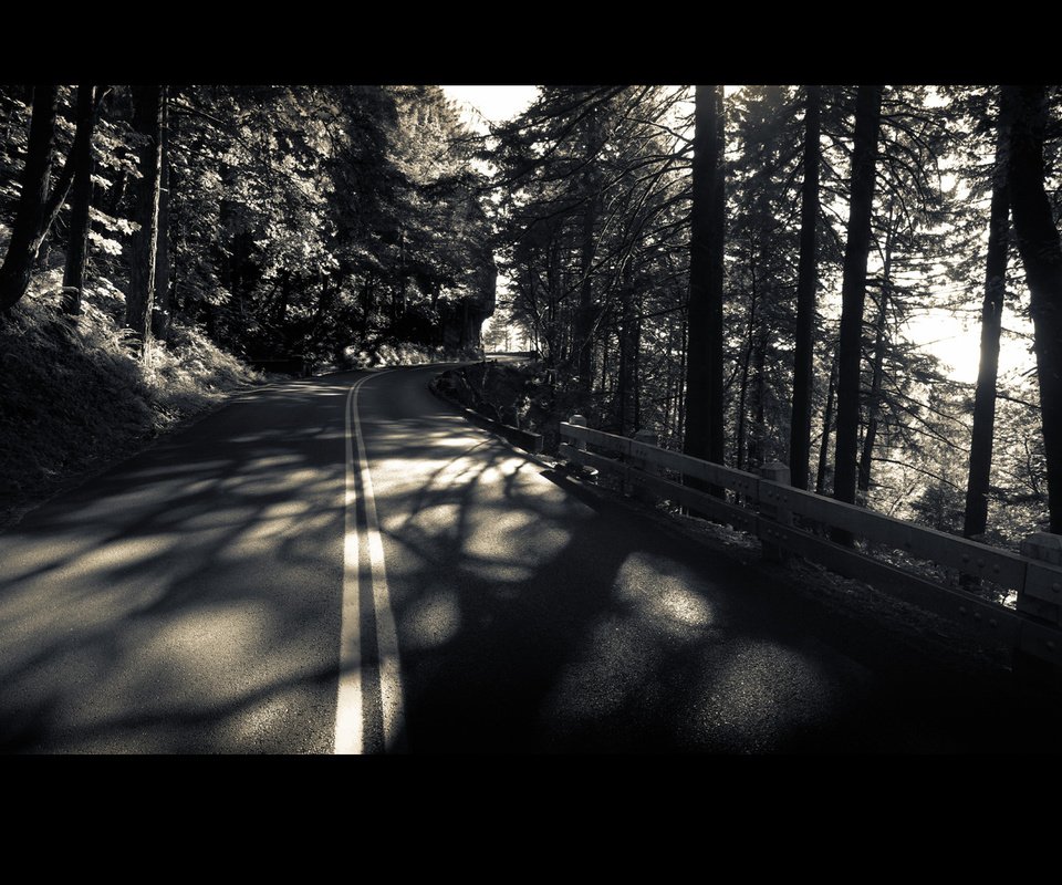 Обои дорога, деревья, лес, чёрно-белый, road, trees, forest, black and white разрешение 1920x1200 Загрузить