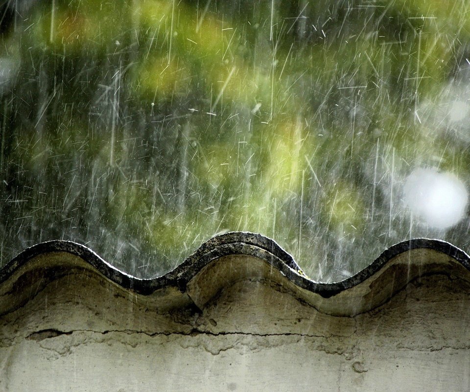 Обои грусть, крыша, мокро, дождик, шифер, sadness, roof, wet, the rain, slate разрешение 1920x1200 Загрузить