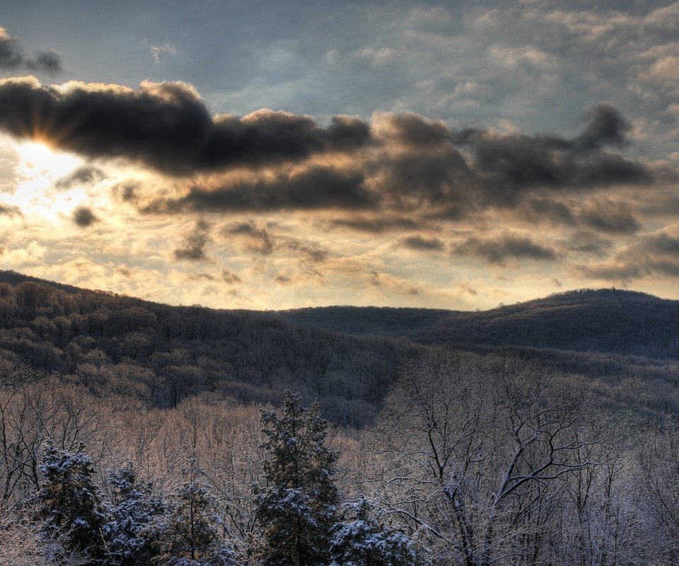 Обои небо, солнце, лес, зима, the sky, the sun, forest, winter разрешение 1920x1200 Загрузить