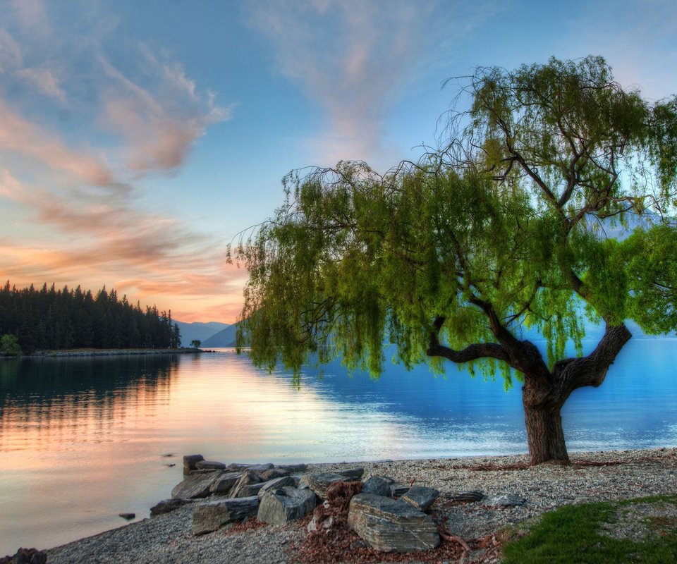 Обои озеро, дерево, закат, новая зеландия, lake, tree, sunset, new zealand разрешение 1920x1080 Загрузить