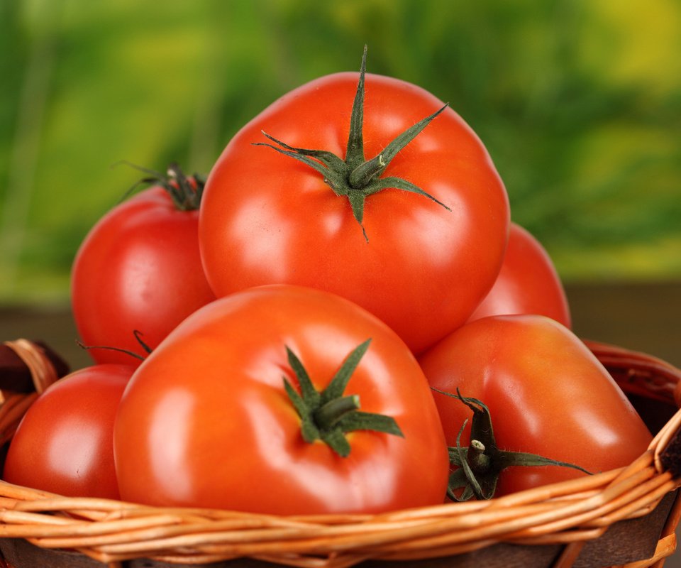 Обои еда, красные, овощи, помидоры, томат, помидоры в корзинке, food, red, vegetables, tomatoes, tomato, tomatoes in a basket разрешение 1920x1200 Загрузить
