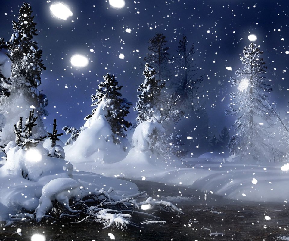 Обои ночь, снег, лес, зима, елочки, night, snow, forest, winter, christmas trees разрешение 1920x1200 Загрузить