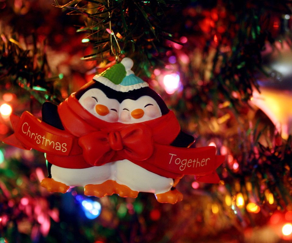 Обои огни, новый год, елка, настроение, игрушки, праздник, гирлянда, пингвины, lights, new year, tree, mood, toys, holiday, garland, penguins разрешение 2560x1600 Загрузить