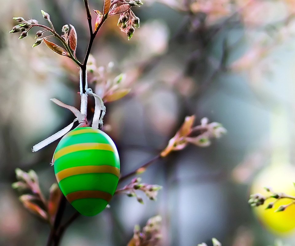 Обои ветка, природа, макро, пасха, праздник, зеленое, яйцо, цветное, branch, nature, macro, easter, holiday, green, egg, color разрешение 1920x1200 Загрузить