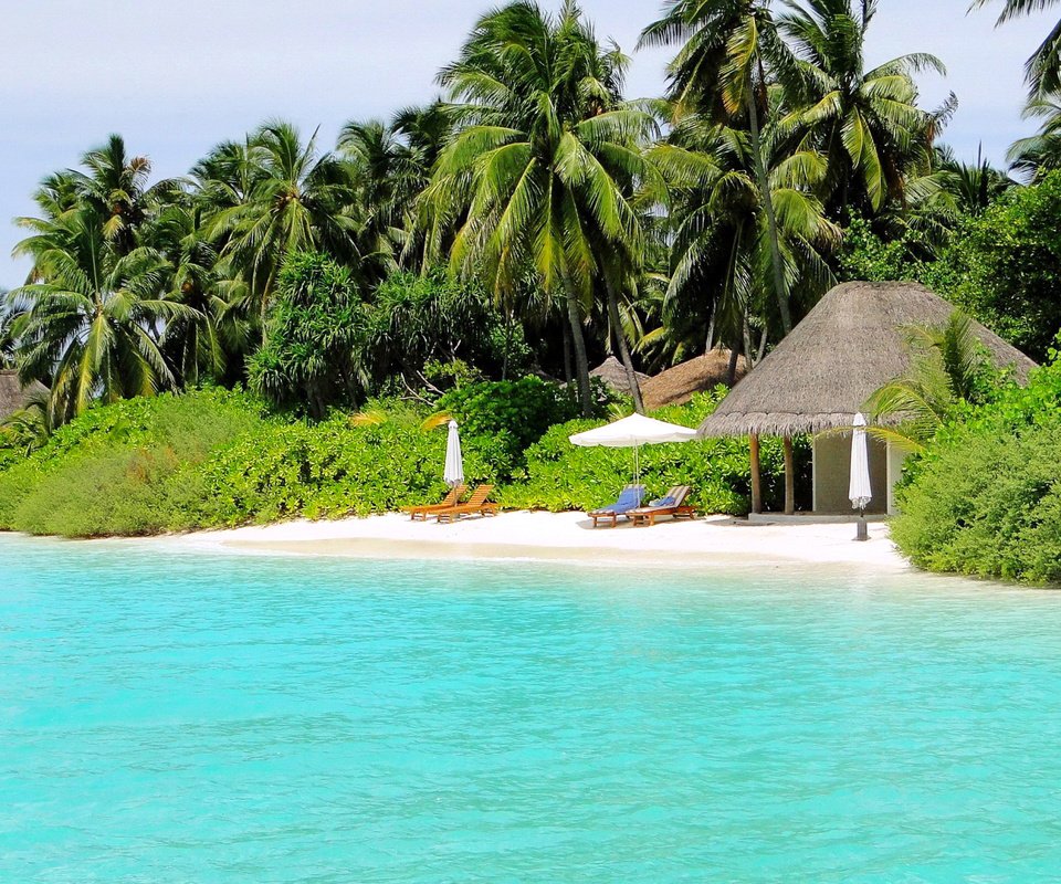Обои пляж, остров, тропики, мальдивы, beach, island, tropics, the maldives разрешение 2560x1600 Загрузить