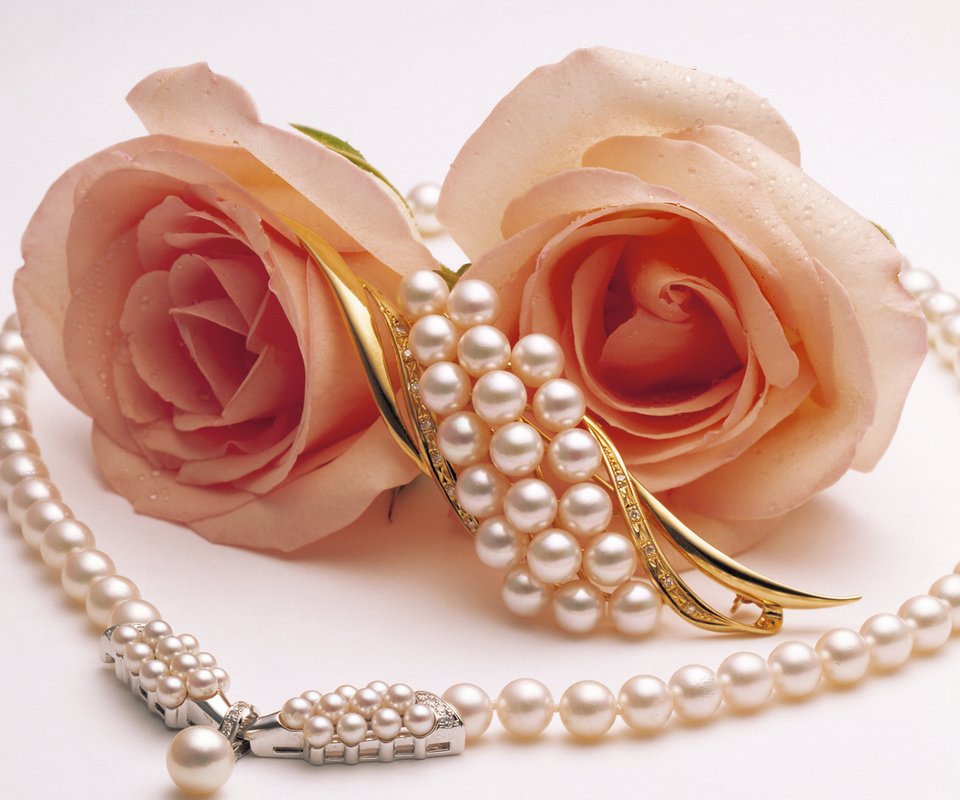 Обои розы, жемчуг, две, брошь, roses, pearl, two, brooch разрешение 1920x1080 Загрузить