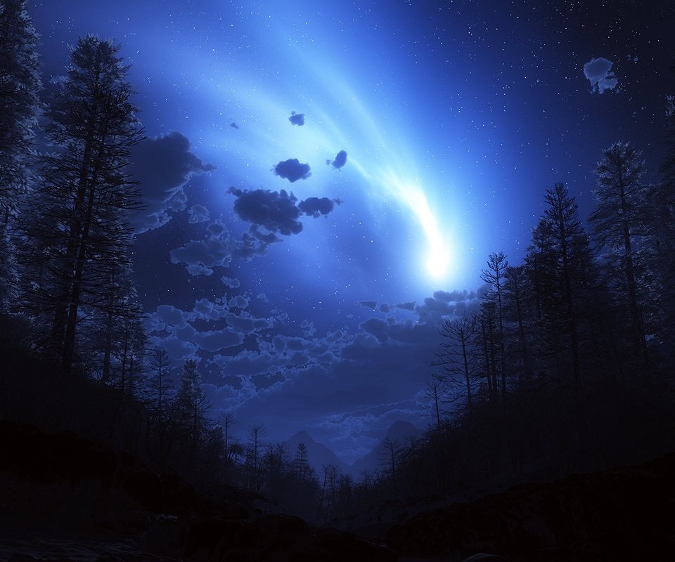 Обои ночь, лес, комета, night, forest, comet разрешение 1920x1080 Загрузить