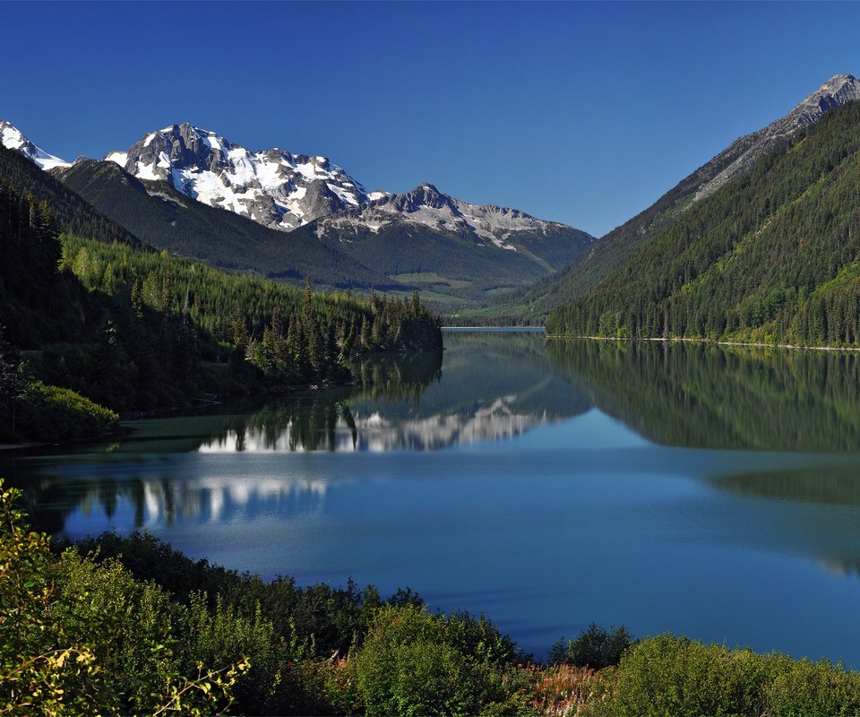 Обои небо, деревья, вода, озеро, горы, отражение, пейзаж, the sky, trees, water, lake, mountains, reflection, landscape разрешение 2560x1600 Загрузить