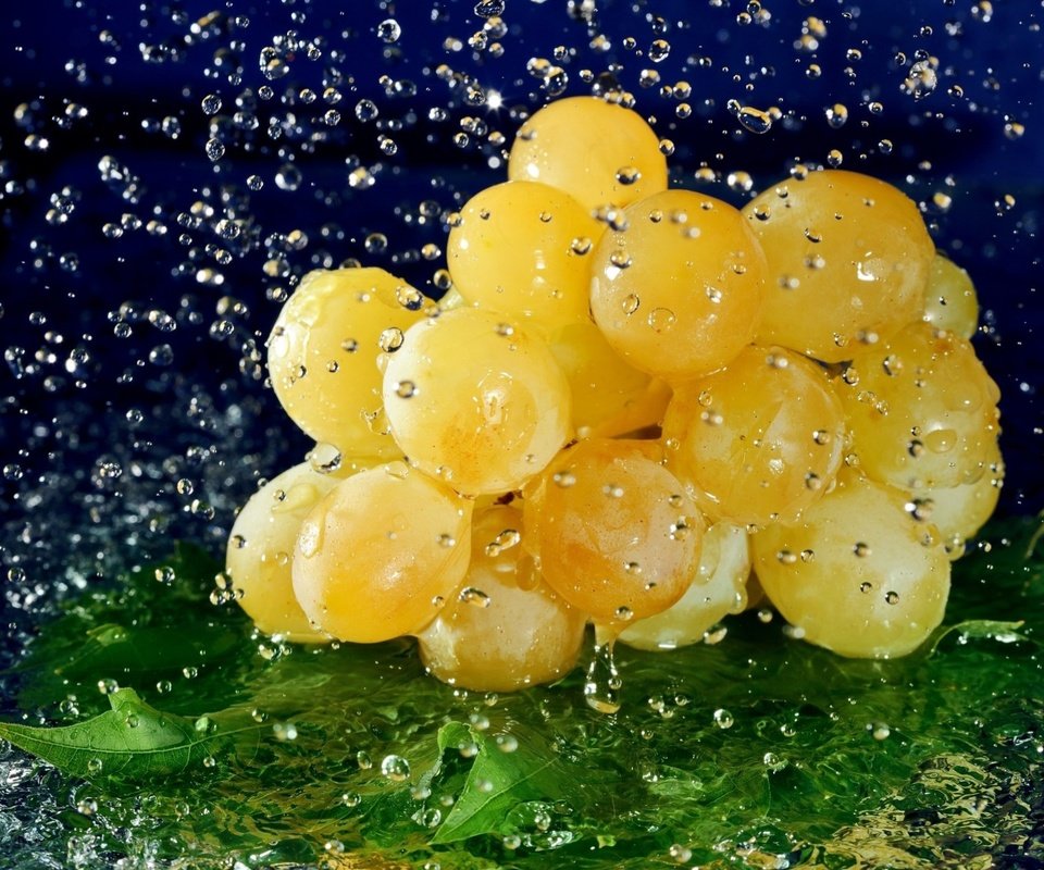 Обои вода, виноград, капли, ягода, лист, гроздь, water, grapes, drops, berry, sheet, bunch разрешение 1920x1253 Загрузить