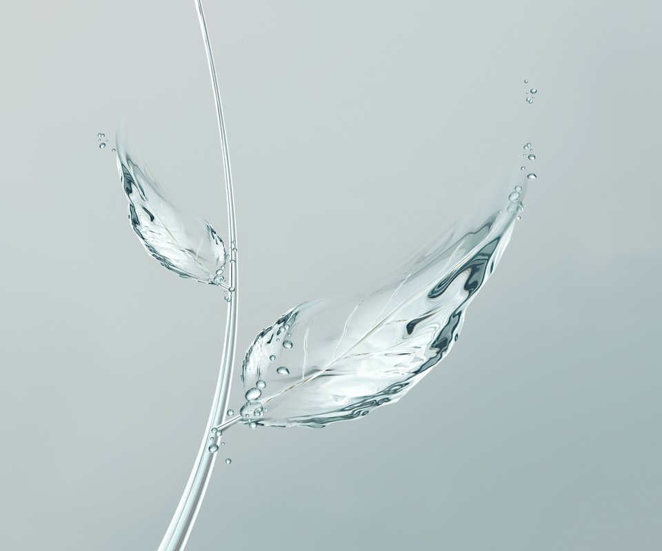 Обои вода, лист, минимализм, листик, пузырьки, минимаизм, мыльные пузыри, water, sheet, minimalism, leaf, bubbles разрешение 2560x1600 Загрузить