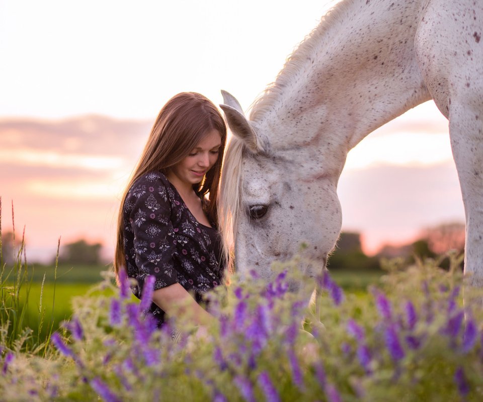 Обои природа, девушка, конь, nature, girl, horse разрешение 2048x1365 Загрузить