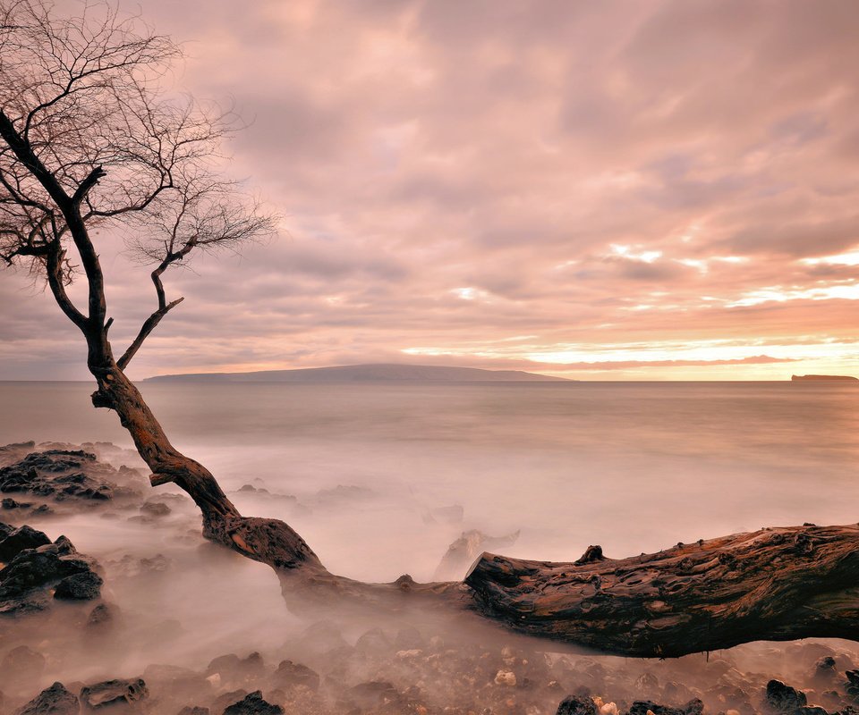Обои вечер, дерево, закат, море, туман, горизонт, the evening, tree, sunset, sea, fog, horizon разрешение 2048x1152 Загрузить