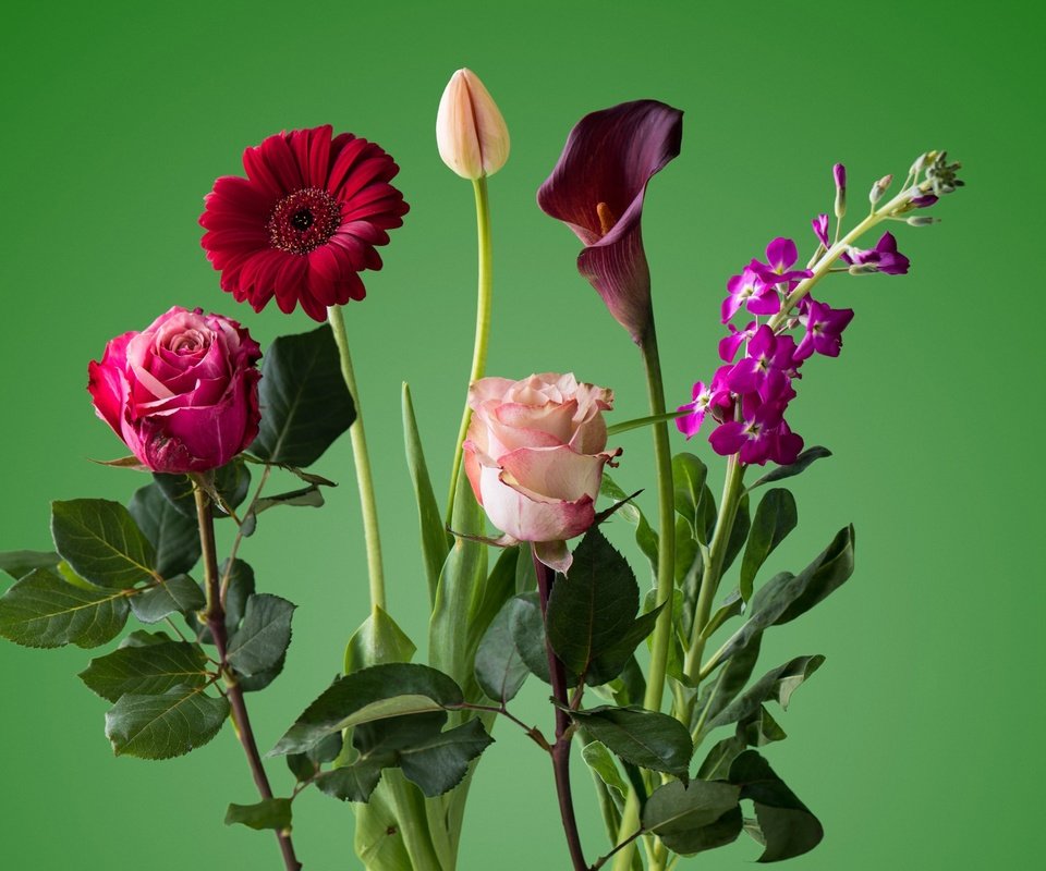 Обои цветы, роза, лепестки, букет, тюльпан, стебель, гербера, flowers, rose, petals, bouquet, tulip, stem, gerbera разрешение 2868x1600 Загрузить