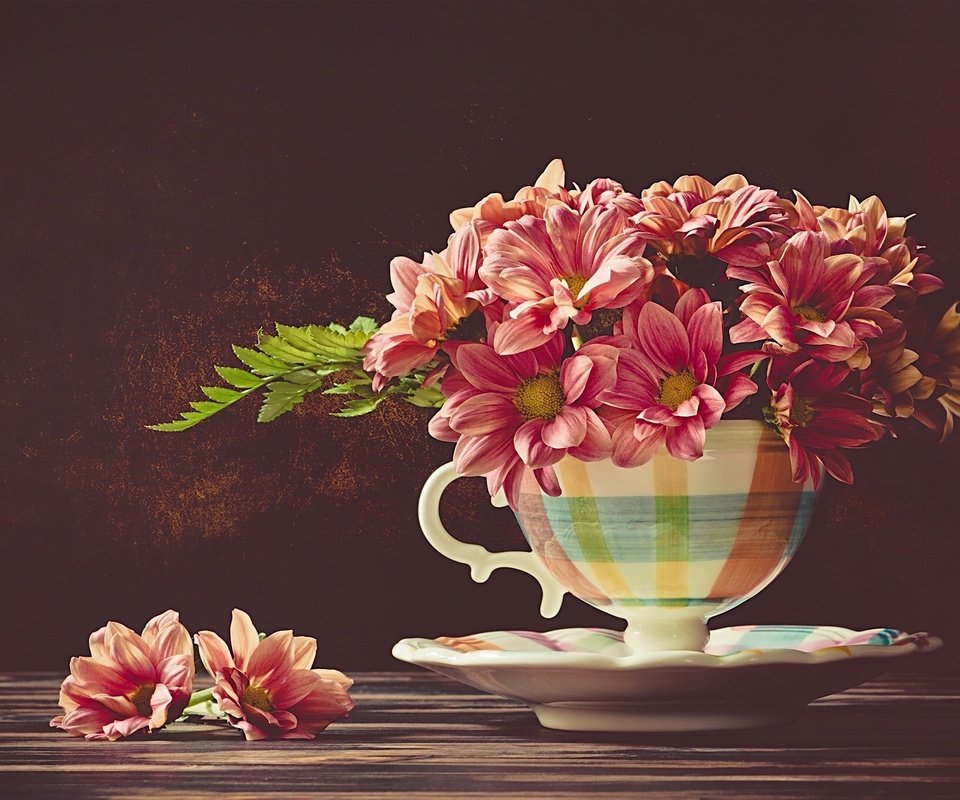 Обои цветы, блюдце, чашка, хризантемы, flowers, saucer, cup, chrysanthemum разрешение 2048x1367 Загрузить