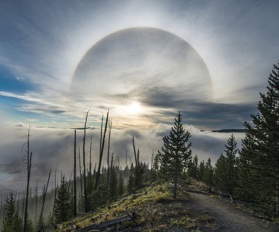 Обои облака, деревья, природа, йеллоустоун, clouds, trees, nature, yellowstone разрешение 2560x1600 Загрузить