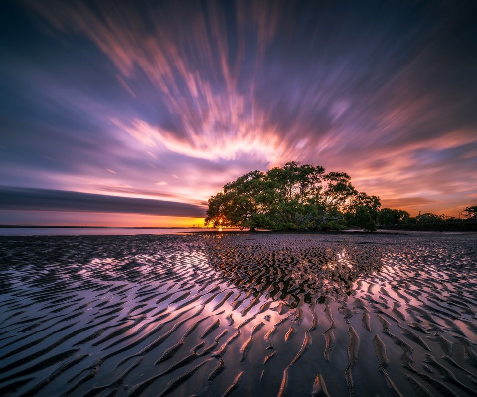 Обои небо, облака, вода, дерево, берег, отражение, закат солнца, океан, the sky, clouds, water, tree, shore, reflection, sunset, the ocean разрешение 7952x5304 Загрузить