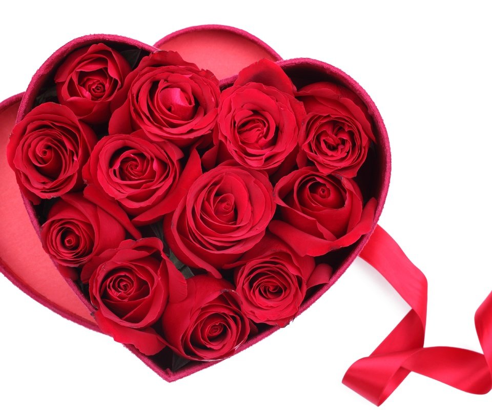 Обои цветы, розы, сердечко, сердце, красные розы, flowers, roses, heart, red roses разрешение 5616x3744 Загрузить