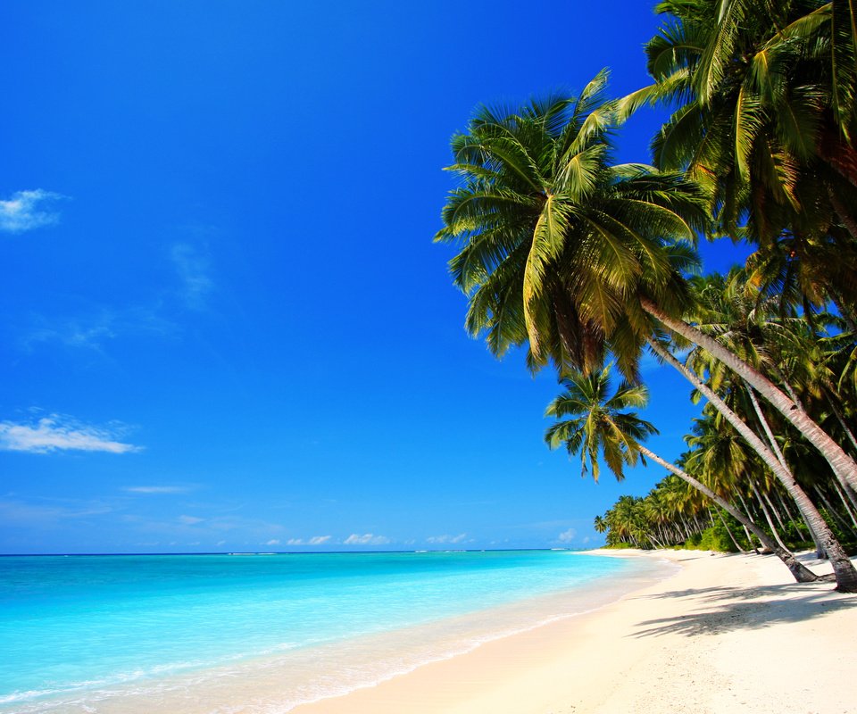 Обои море, песок, пляж, пальмы, отдых, тропики, sea, sand, beach, palm trees, stay, tropics разрешение 7512x5008 Загрузить