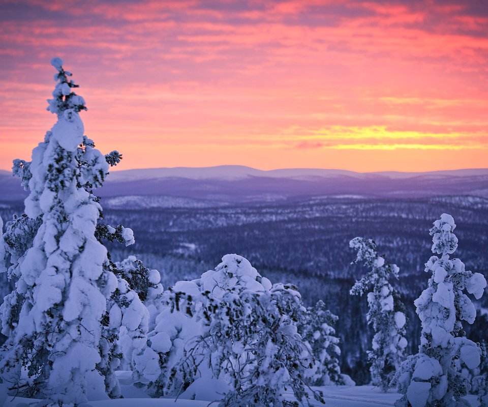 Обои небо, деревья, снег, лес, закат, зима, финляндия, лапландия, the sky, trees, snow, forest, sunset, winter, finland, lapland разрешение 2800x1867 Загрузить