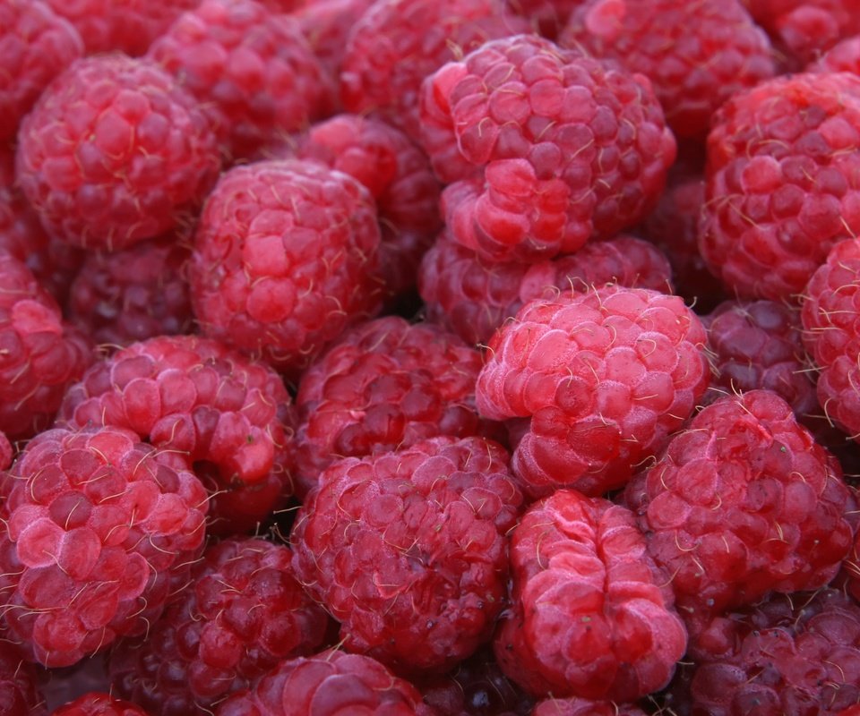 Обои малина, лето, ягоды, много, raspberry, summer, berries, a lot разрешение 3504x2336 Загрузить