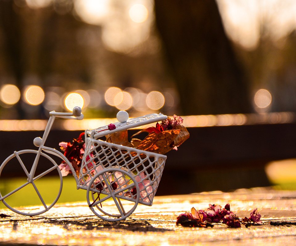 Обои цветы, лепестки, велосипед, фигурка, сувенир, flowers, petals, bike, figure, souvenir разрешение 1920x1200 Загрузить