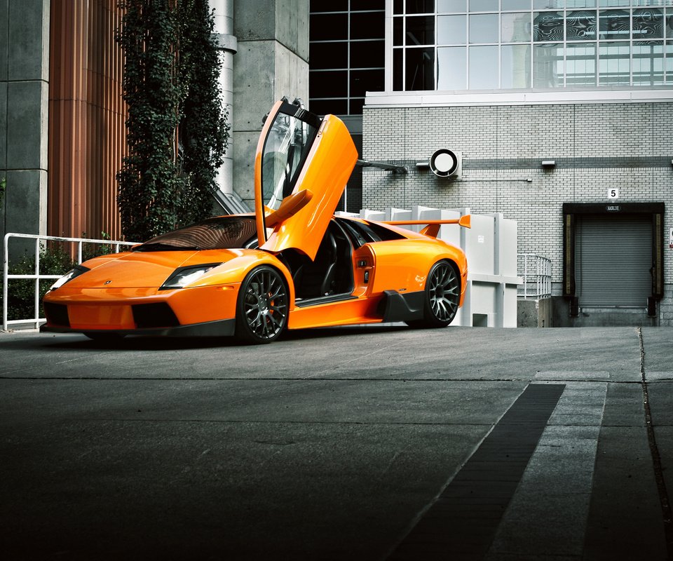 Обои апельсин, ламборгини, murcielago, ламборджини, передний, orange, lamborghini, front разрешение 2048x1365 Загрузить