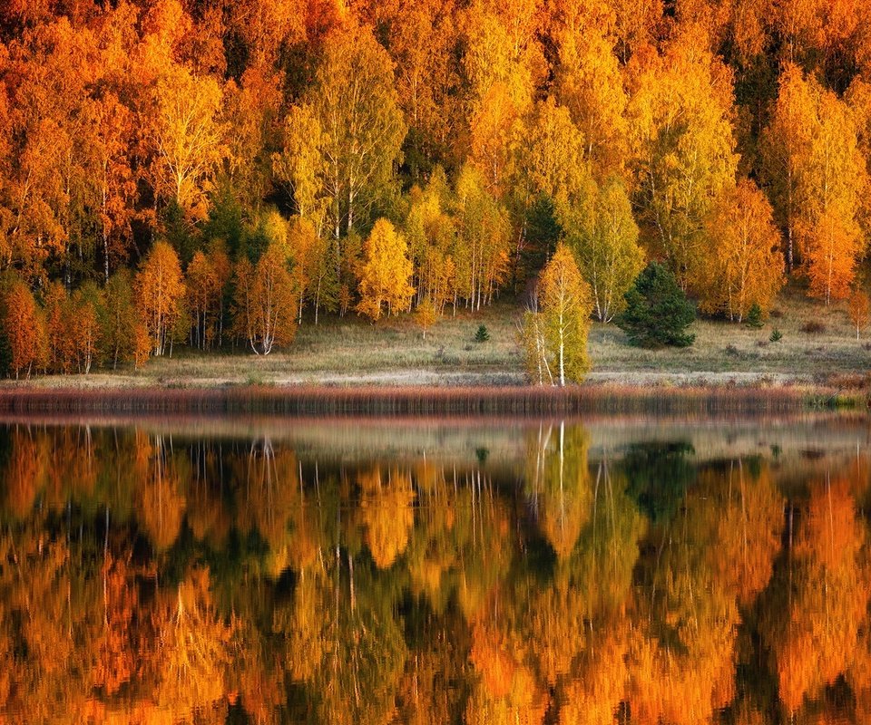 Обои деревья, озеро, природа, берег, лес, отражение, пейзаж, осень, trees, lake, nature, shore, forest, reflection, landscape, autumn разрешение 1920x1280 Загрузить