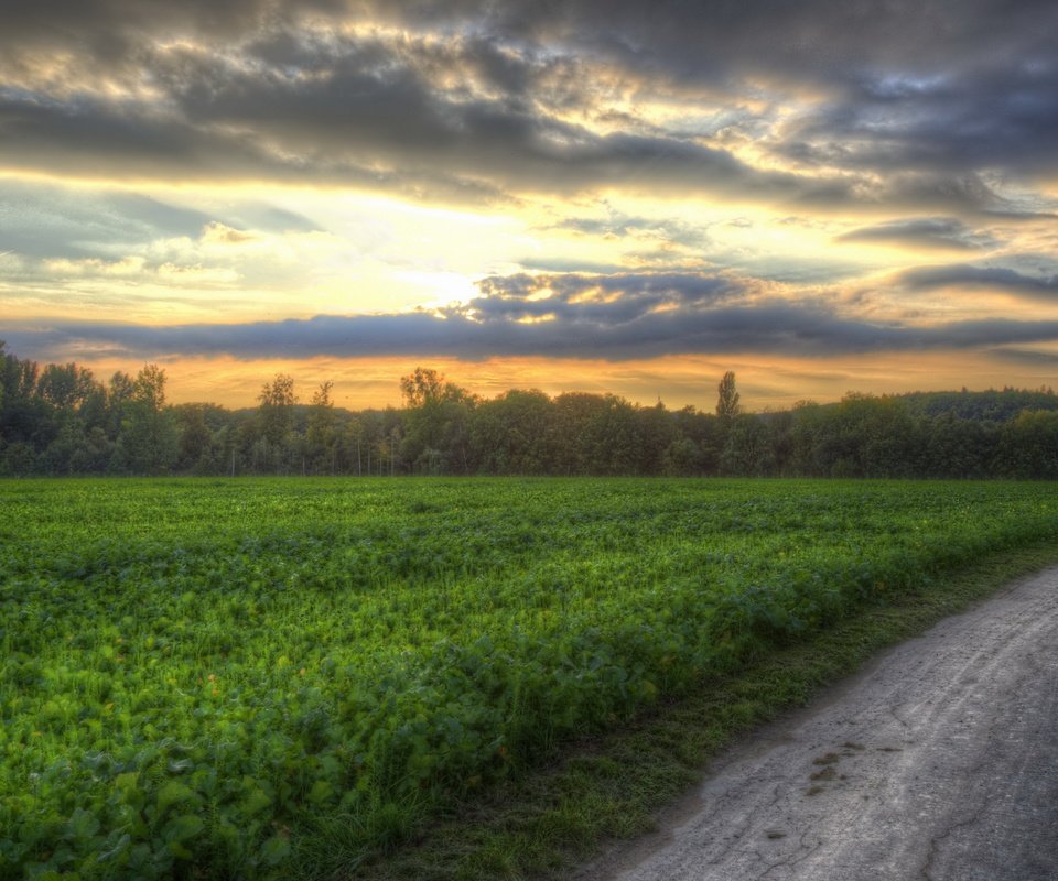 Обои дорога, закат, поле, road, sunset, field разрешение 3840x2160 Загрузить