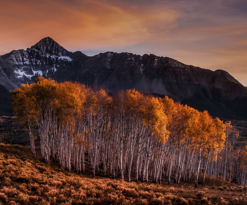 Обои горы, березы, осень, mountains, birch, autumn разрешение 3840x2160 Загрузить