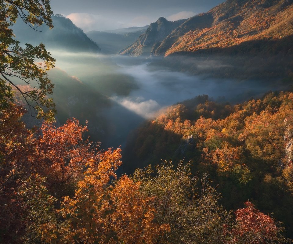 Обои горы, лес, осень, ущелье, черногория, mountains, forest, autumn, gorge, montenegro разрешение 1920x1280 Загрузить