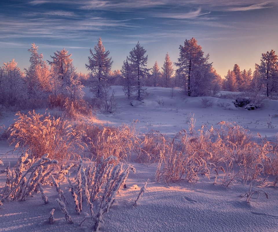 Обои небо, иней, свет, ели, облака, снег, природа, лес, зима, пейзаж, the sky, frost, light, ate, clouds, snow, nature, forest, winter, landscape разрешение 2000x1333 Загрузить